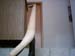 PICT0023