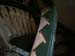 PICT0019